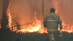 лесной пожар в Свердловской области
