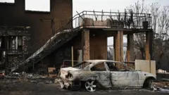 Australian bush fire 2019 - 2020