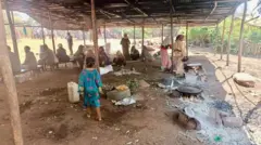 ተመዛበልቲ 
