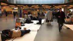 Мигранты во Внуково