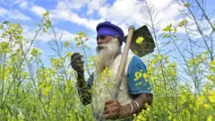 ਬਿਜਲੀ ਸਬਸਿਡੀ