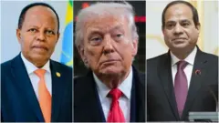 ፕረዚደንት ኢትዮጵያ፡ ኣመሪካን ግብጺን