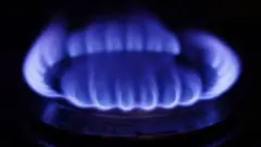 жаратылыш газы
