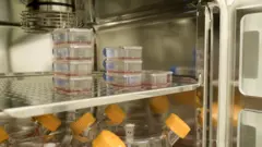 Fridge of blood