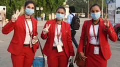 घरेलू विमान सेवाएं