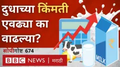 महाराष्ट्र, दूध उत्पादक