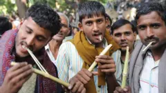 చెరకు గడలు