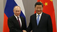 Russian President Vladimir Putin (L) greets Chinese President Xi Jinping (R) during their bilateral meeting on November 13, 2019 in Brasilia, Brazil.