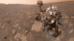 Curiosity