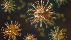 Computer image of the coronavirus