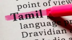 தமிழ் மொழி கோப்புப் படம்