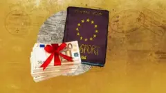 Passport and money