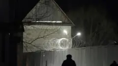 колония