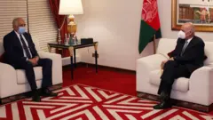 غيني
