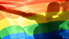 پرچم رنگین کمانی ال جی بی تی