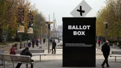 Giant ballot box