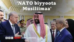 Wal ta'iinsa Sa'udi, Turkiifi Paakistaan