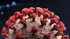 Igishushanyo cya coronavirus