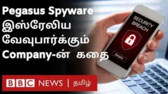 பெகாசஸ்