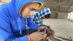 पब्जी