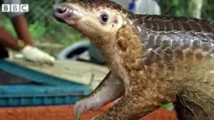 ప్రకాశం జిల్లా