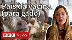 BBC