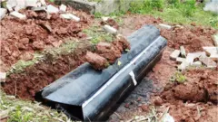Chinese coffin