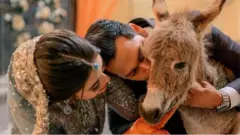 गाढव, पाकिस्तान