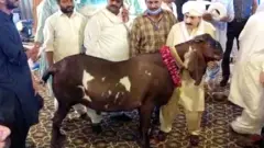 ‘ਰੁਸਤਮ-ਏ-ਹਿੰਦ’