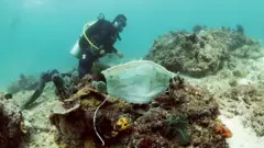 فيروس كورونا: أقنعة واقية كثيرة بالشعاب المرجانية بالفلبين