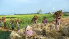 လယ်သမား