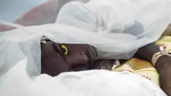 Ènìyàn 172 ló ti ba ààrún ibà pónjú rìn ni Nàìjíríà-WHO