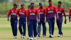 क्रिकेट