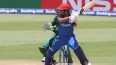 کرېکټ
