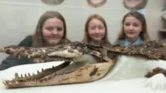 croco