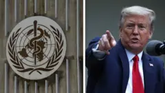 Логотип ВОЗ и Дональд Трамп