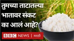 शेती