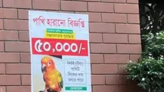 পাখি হারানো বিজ্ঞপ্তি