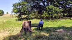 توسع أزمة فيروس كورونا، إلى جانب السياسة العدائية للهجرة، حالات التفاوت الاقتصادية القائمة في المملكة المتحدة.