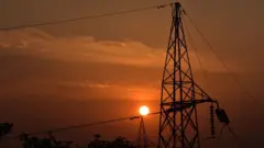 electrictiy grid மின்சாரம்