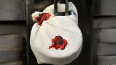 प्रातिनिधिक फोटो