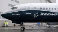 طائرة ماكس 737