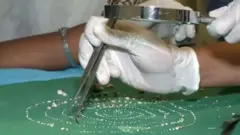 دانت