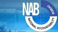نیب لوگو