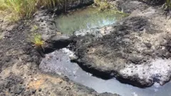 Oil Spillage