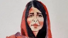 نجیب