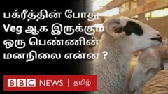 ஆடுகள் வெட்டப்படுவதைக் கண்டு கலங்கும் ஓர் இஸ்லாமியப் பெண்ணின் கதை