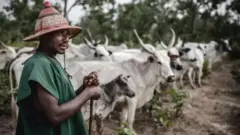 Fulani Makiyaya