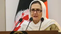 پارلمان، ولسي جرګه