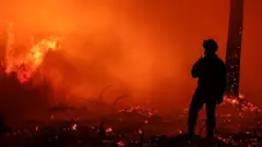 Пожарный